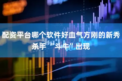 配资平台哪个软件好血气方刚的新秀杀手 “斗牛”出现