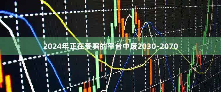 2024年正在受骗的平台中废2030-2070