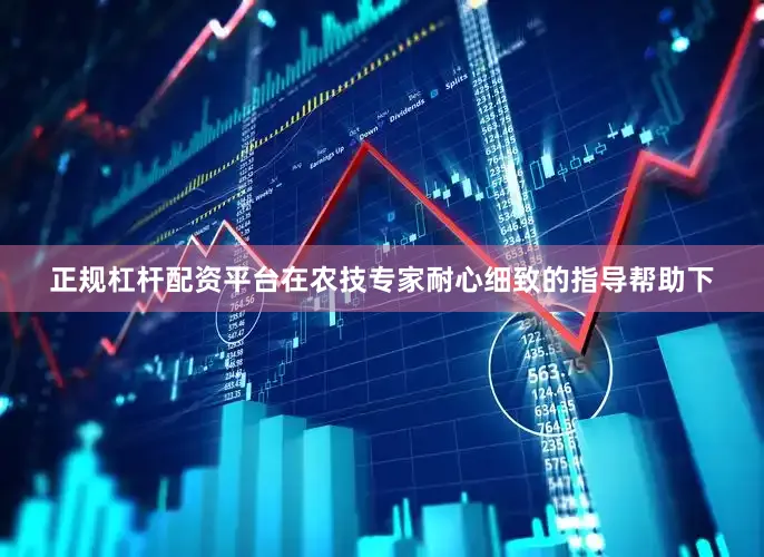 正规杠杆配资平台在农技专家耐心细致的指导帮助下