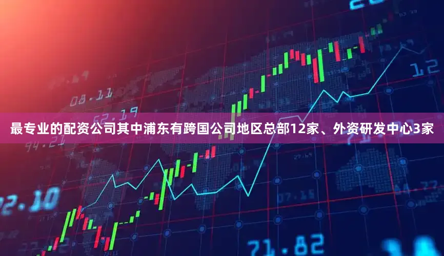 最专业的配资公司其中浦东有跨国公司地区总部12家、外资研发中心3家