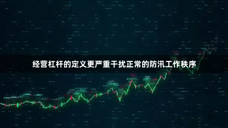 经营杠杆的定义更严重干扰正常的防汛工作秩序